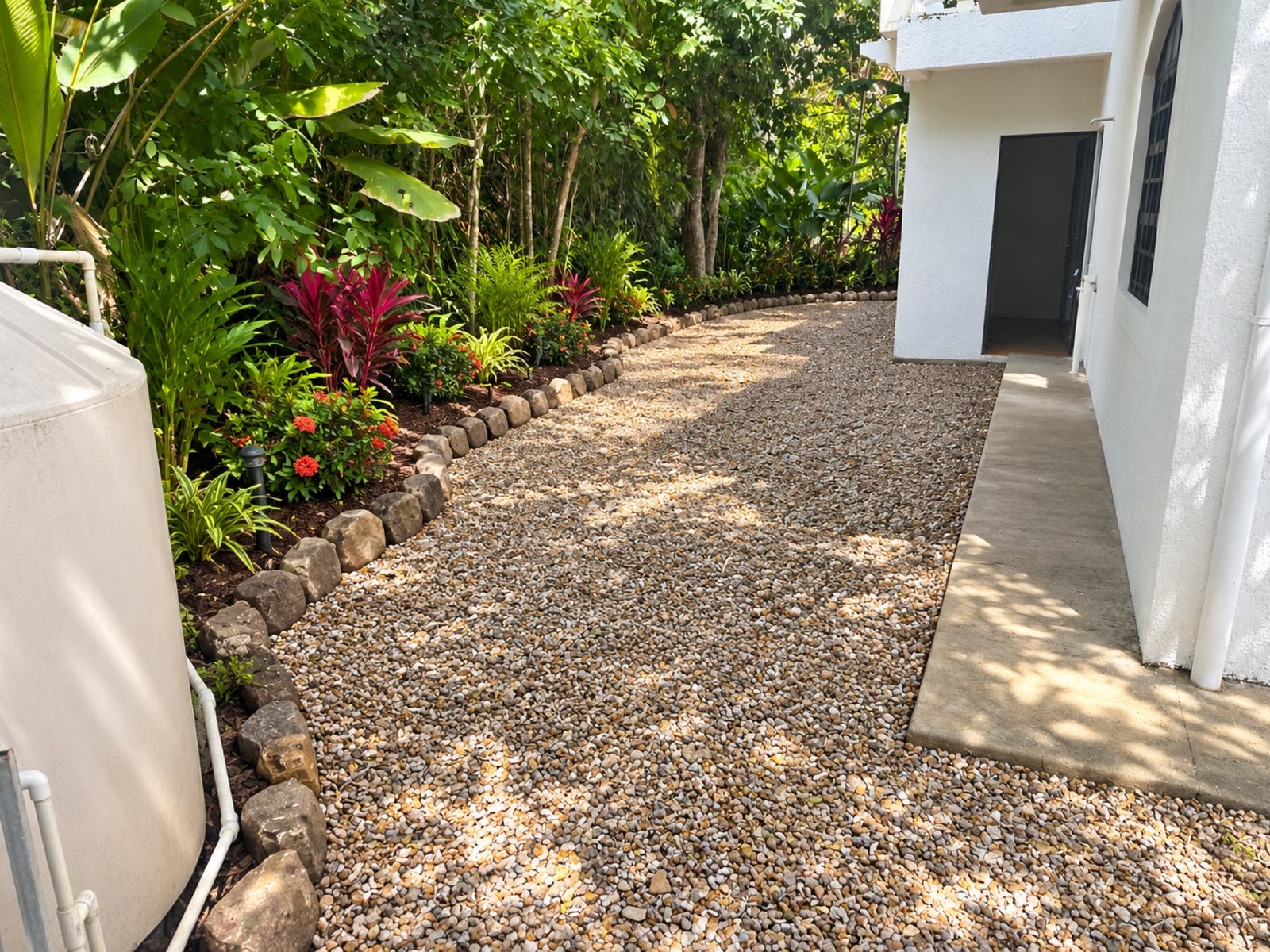 Landscaped tropical backyard garden